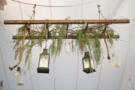 Hanging Ladder From Ceiling, Garden Ladder Ideas, Rustic Ladder Decor, Ladder Ideas, Plant Ladder, Garden Ladder, Hanging Ladder, Plant Display Ideas, Rustic Ladder