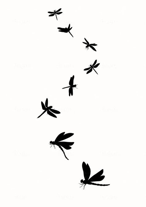 Dragonflies realistic lineart of a sketch or tattoo design Fantasy Line Drawing, Dragonfly Silhouette Tattoo, Piscean Tattoo, Black And White Dragonfly Tattoo, Dragon Fly Design, Dragon Fly Back Tattoo, Dragonfly Drawing Sketch, Dragon Fly Illustration, Dragonfly Line Art