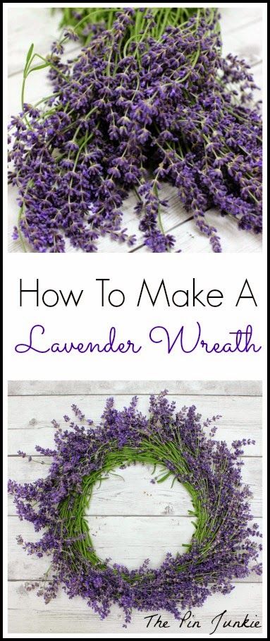 How To Make A Lavender Wreath Lavender Crafts, Growing Lavender, Lavender Wreath, Lavender Plant, Lavender Farm, Lovely Lavender, Deco Floral, Lavender Fields, Décor Diy