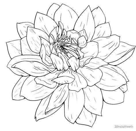 Outline Drawing Flower, Dahlia Flower Tattoo, Daliah Flower, Delilah Flower, Dahlia Flower Tattoos, Dahlia Tattoo, Black And White Outline, Flower Tattoo Drawings, Tattoo Outline Drawing