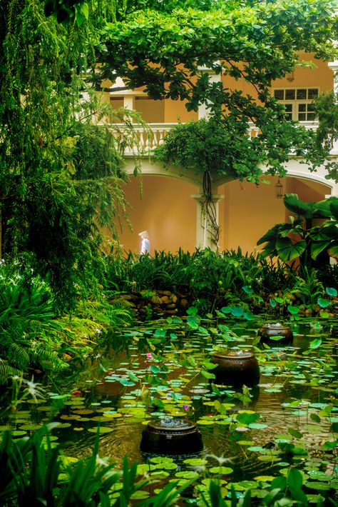 Beautiful garden pond landscaping idea. Visit our Vietnamese colonial style resort  Anantara Hoi An Resort, Vietnam Vietnamese Garden Design, Vietnamese Garden, Backyard Resort, Fun Backyard, Tropical Backyard, Pond Landscaping, Backyard Spaces, Country Landscaping, Garden Pond