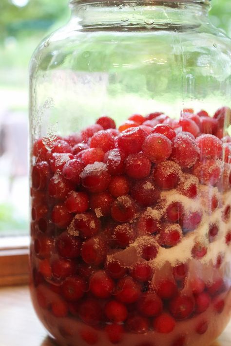 Cherry Bounce Recipe, Cherry Bounce, Homemade Liqueur Recipes, Brandy Recipe, Liqueur Recipes, Wine Making Recipes, Homemade Wine Recipes, Homemade Alcohol, Making Wine