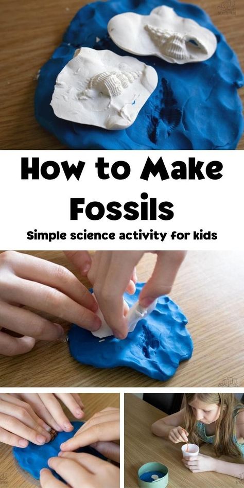 Fossils Activities Middle School, Fossil Lessons Middle School, How To Make Fossils, Making Fossils In The Classroom, How To Make Fossils For Kids, Fossil Science Experiment, Making Fossils With Kids, Fossils Activities For Kids, Geology Crafts For Kids