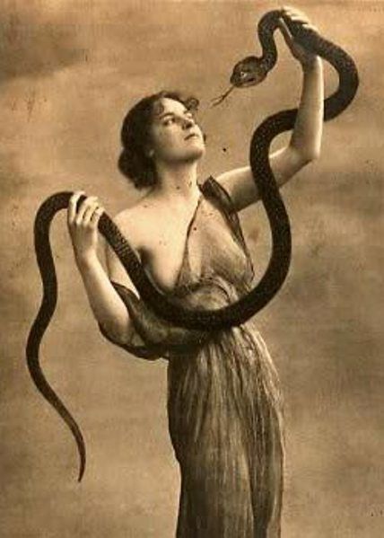 Snake Spirit Animal, Animal Meanings, Foto Portrait, Snake Charmer, Kunst Inspiration, Arte Obscura, Vintage Circus, Foto Vintage, Foto Art