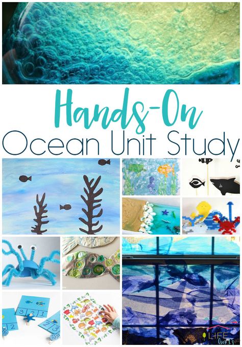 Your kids will love this hands-on ocean unit study. Choose from STEM, science, math, literacy, art and craft activities! Ocean Unit Study, Art And Craft Activities, April Preschool, Teaching Board, Ocean Theme Preschool, Ocean Habitat, Ocean Projects, Marine Science, Ocean Unit