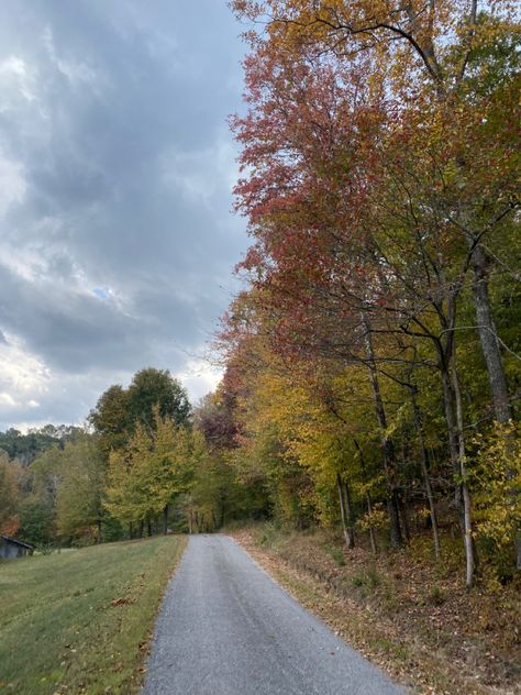 #fall #aesthetic #trees #fallfoilage #country #countryside #nature #granola #tennessee #thesouth Tenesse Girl Aesthetic, Knoxville Aesthetic, Fall Aesthetic Trees, Tennessee Aesthetic, Aesthetic Trees, Fall Foilage, Tennessee River, Life Vision, Life Vision Board