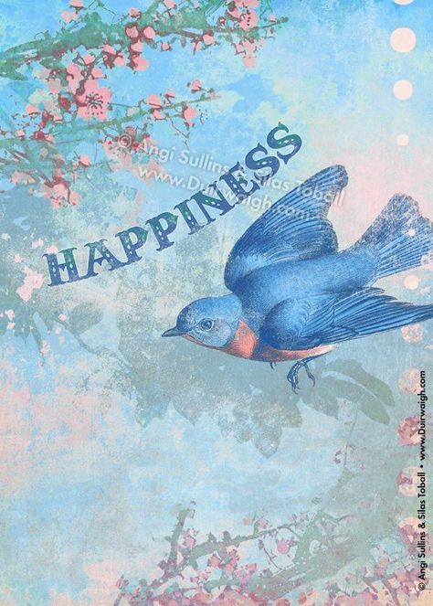 Welcome to my boards...I hope you enjoy them. Have a blessed day. Blue Bird Of Happiness, Bluebird Of Happiness, Bird Quotes, Free Greeting Cards, Happiness Quotes, Love Blue, Wall Plaque, Little Bird, Bluebird