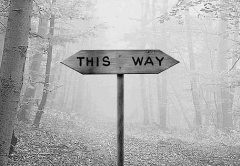 “Would you tell me, please, which way I ought to go from here?" "That depends a good deal on where you want to get to." "I don't much care where –" "Then it doesn't matter which way you go.”  ― Lewis Carroll, Alice in Wonderland  "Würden Sie mir bitte sagen, welchen Weg ich von hier aus gehen?« »Das hängt ein gutes Stück auf, in dem Sie erhalten möchten" "Ich weiß nicht viel Pflege, wo -". "Dann ist es egal, im Wunderland von Lewis Carroll, Alice - welchen Weg Sie gehen. " Alice In Wonderland Aesthetic, Over The Garden Wall, Were All Mad Here, Photo Vintage, Lewis Carroll, White Aesthetic, Mad Hatter, A Sign, Photo Profil