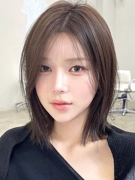 Asian Hair Bob, Korean Bob Haircut, Korean Bob, Ash Brown Hair Color, Medium Long Haircuts, Brown Ombre Hair, Brown Hair Dye, Short Brown Hair, Shot Hair Styles