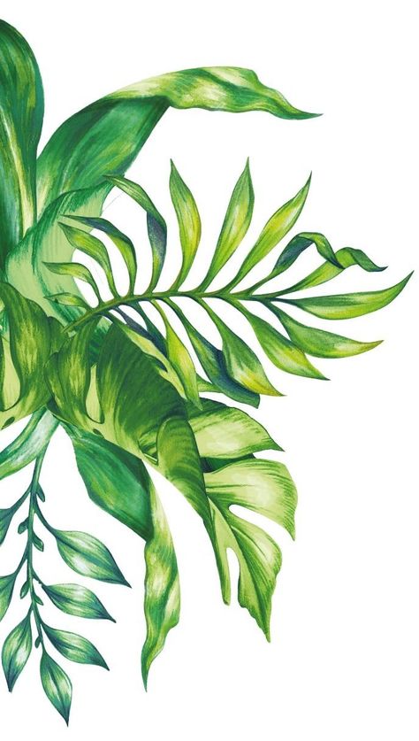 Jungle Plants Drawing, Tropical Plants Drawing, Spring Digital Art, Tropical Flowers Illustration, Pencil Sketch Tutorial, Sketch Tutorial, Beautiful Pencil Drawings, Flowers Illustration, Leaf Drawing