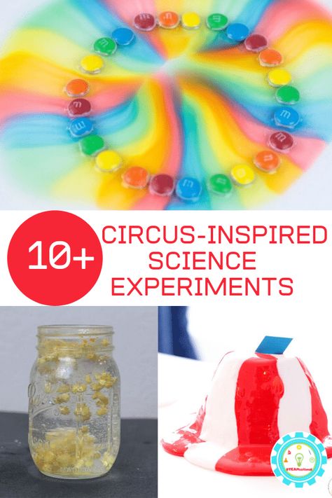 If you love the circus and science, then you'll have a blast trying out these circus science experiments. Kids will love the circus science activities! Circus Science, Circus Theme Preschool Activities, Preschool Circus, Candy Science Experiments, Circus Activities, Carnival Activities, Carnival Crafts, Circus Crafts, Experiments Kids