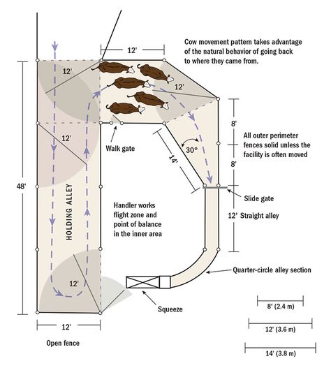 Create an Easy-to-Build Cattle Corral for Your Herd - Hobby Farms Cattle Barn Designs, Show Cattle Barn, Cattle Housing, Cattle Facility, Cattle Feeder, Cattle Corrals, Livestock Fence, Livestock Barn, Temple Grandin