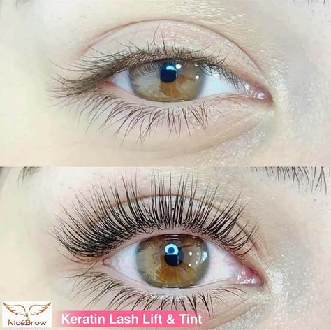 Keratin Lash Lift - Everything You Need to Know Lash Tint And Lift, Types Of Eyelash Extensions, Eyelash Lift And Tint, Lash Lift And Tint, Keratin Lash Lift, Long Lashes Mascara, Evening Eye Makeup, Eyelash Tinting, Lash Tint