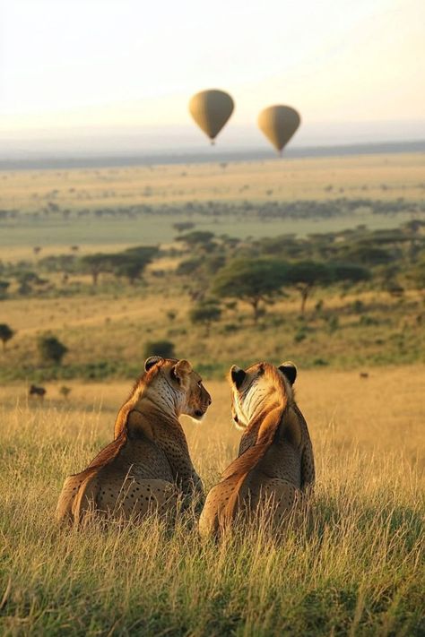 Embark on a romantic adventure with your partner on a luxury safari in Masai Mara. Witness the Great Migration, enjoy private game drives, and relax together in a lavish tented camp. 🦁🌅🌍 #MasaiMaraRomance #CouplesSafari #LuxuryGetaway Kenya Masai Mara, Africa Safari Aesthetic, Safari Couple, Kenya Photography, Safari Aesthetic, South Africa Vacation, Masai Mara Safari, Africa Honeymoon, River Flows In You