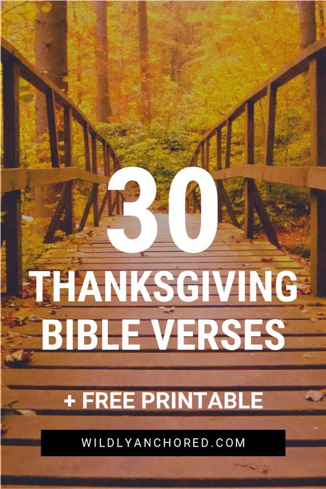 Celebrate the season of thankfulness with these 30 Thanksgiving Bible Scriptures. Includes FREE Printable! November Scripture, Thankful Bible Verses, Thanksgiving Verses, Changing Mindset, Thanksgiving Devotions, Thanksgiving Scripture, Short Scriptures, Thanksgiving Bible Verses, Christian Thanksgiving