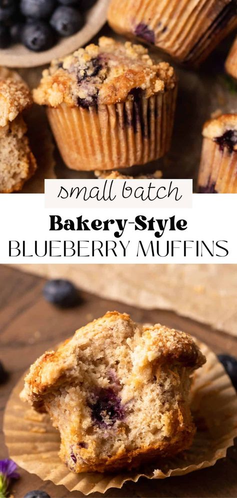 Soft, buttery small batch blueberry muffins are topped with sweet crumbly streusel for a delicious breakfast or mid-day treat! These homemade muffins have bursts of juicy blueberries in every bite and are sure to taste absolutely heavenly. This recipe makes 6 muffins topped with streusel. Bakery Style Blueberry Streusel Muffins, Small Batch Blueberry Recipes, 6 Muffin Recipe, Small Batch Breakfast Recipes, Small Batch Muffin Recipe, Blueberry Muffins Small Batch, Small Batch Muffins, Small Batch Blueberry Muffins, Small Batch Desserts