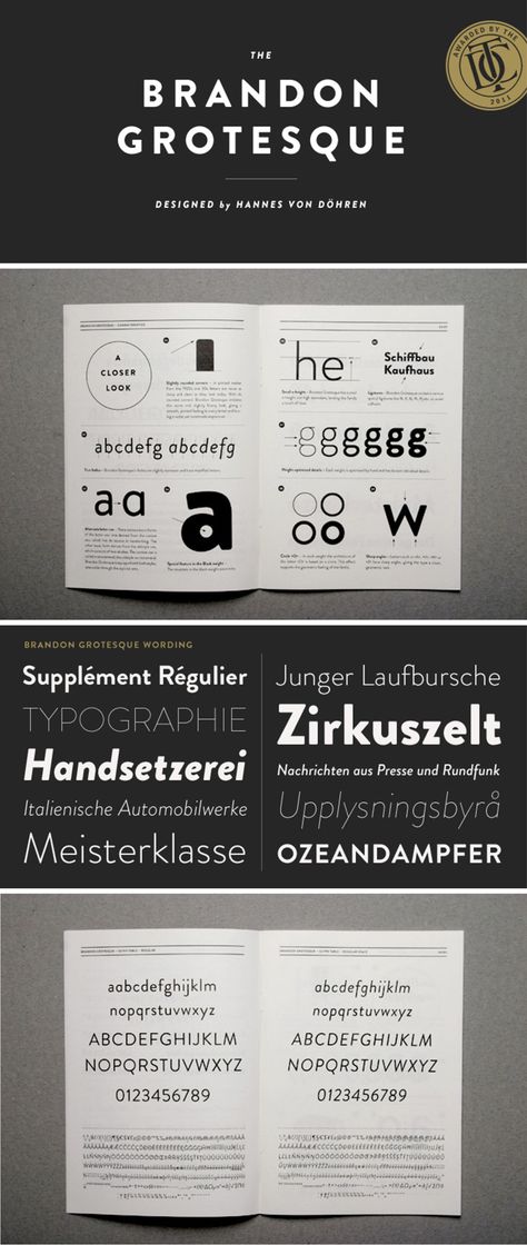 Brandon Grotesque Font Grotesque Typography, Brandon Grotesque, Type Specimen, Self Branding, Typography Love, Type Foundry, Friday Favorites, Geometric Forms, Brand Fonts