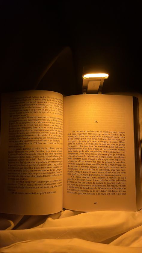 Reading before going to sleep>>>>> #books #booklover #aesthetic #night #redqueen Reading Aesthetic At Night, Reading In Bed At Night, Night Time Reading Aesthetic, Sleep Core Aesthetic, Reading In Bed Aesthetic Night, Sleeping In Aesthetic, Going To Bed Aesthetic, Going To Sleep Aesthetic, Sleeping Aesthetic Night