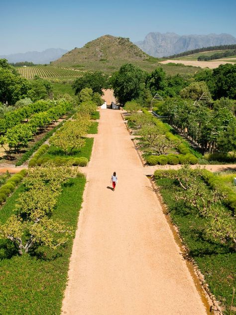 Winelands South Africa, Farm Fruit, Farm Hotel, Beach Therapy, Desain Lanskap, Farm Design, Out Of Africa, Western Cape, Southern Africa