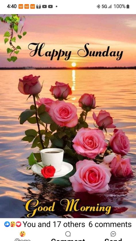 Sunday Wishes Beautiful, Sunday Morning Wishes Beautiful, Happy Sunday Morning Beautiful, God Morning Quotes, Happy Sunday Flowers, Sunday Morning Wishes, Sunday Flowers, Happy Sunday Images, Friday Dance