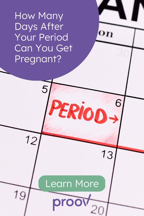 📆🌟 Wondering about the best time to conceive after your period? Our latest blog post breaks down the optimal window for getting pregnant and shares tips to maximize your chances! Unlock the secrets to timing and fertility – click to read now! 🤰🌸 Fertile Period, Conceiving A Boy, Track Period, Fertile Window, How To Conceive, Ways To Get Pregnant, Cervical Mucus, Chances Of Getting Pregnant, Get Pregnant Fast