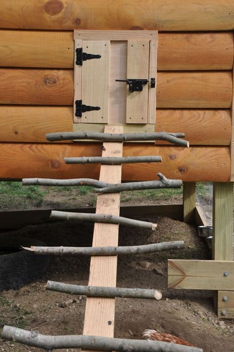 DIY Natural Stick Chicken Coop Ladder - for access to the coop or roost, perfect for any coop... #chickens #homestead #homesteading Chicken Ladder, Portable Chicken Coop, Chicken Pen, Urban Chickens, Coop Design, Best Chicken Coop, Chicken Coop Designs, Coop Plans, Keeping Chickens