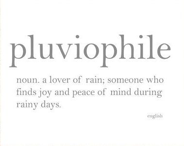 Rain Lover Tattoos, Rainy Weather Quotes, In Libras Libertas, Lover Of Rain, Rain Lover, Phobia Words, Mysterious Words, Weather Quotes, Unique Words Definitions