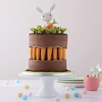 Easter Crafts & Ideas | Hobbycraft Bunny Cake Pops, Mini Patisserie, Dessert Easter, Easter Cake Decorating, Fault Line Cake, Brunch Easter, Cake Easter, Easter Snacks, Easter Bunny Cake