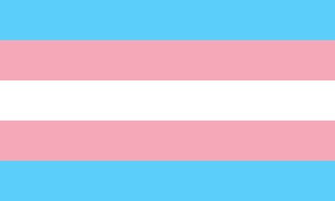 Trans Pride Flag, Transgender Mtf, Trans Flag, Gender Flags, Lgbt Flag, Lgbtq Flags, Lesbian Flag, Trans Pride, Retro Wall Art