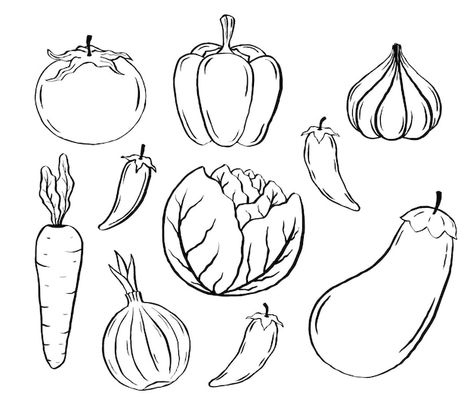 Croquis, Vegetable Sketch Drawing, How To Draw Fruits And Vegetables, Vegetable Outline Drawing, Vegetable Design Art, Vegetable Line Art, Vegetable Drawing Simple, How To Draw Vegetables, Veg Drawing