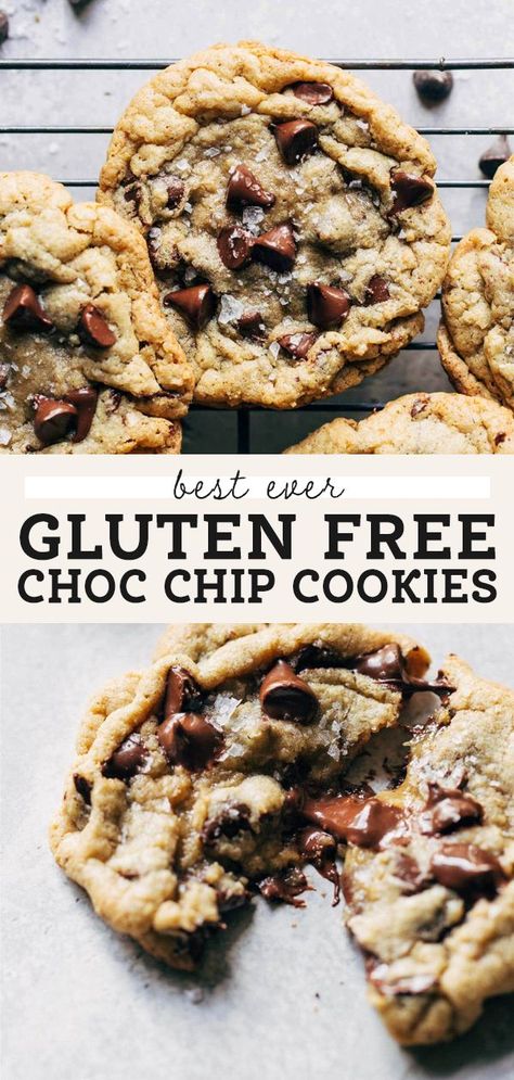 Gluten Free Chocolate Chip Cookies, Gluten Free Chocolate Chip, Best Gluten Free, Choc Chip Cookies, Chocolate Chip Cookie Recipe, Dessert Dips, Chewy Chocolate Chip Cookies, Gluten Free Muffins, Gluten Free Sweets