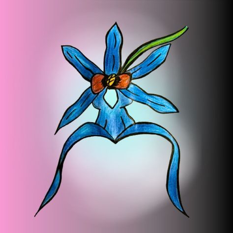 I learnt about this mysterious flower from a #kdrama, its beautiful, have a look Blue Ghost Orchid, Ghost Orchid, Blue Ghost, Its Beautiful, Orchids, Kdrama, Ghost, Flowers, Blue