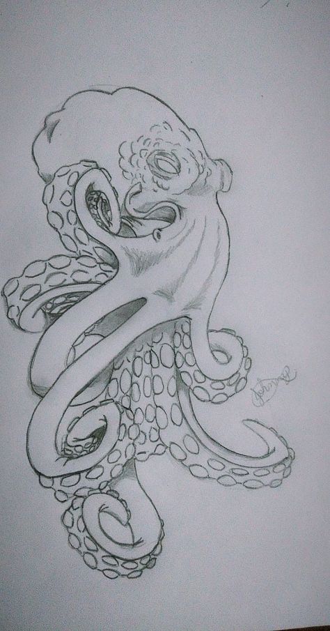 Octopus And Skull Drawing, Tattoos Minimal, Octopus Sketch, Nautical Tattoos, Octopus Colors, Marine Life Art, Chest Tattoo Ideas, Octopus Drawing, Octopus Tattoo Design