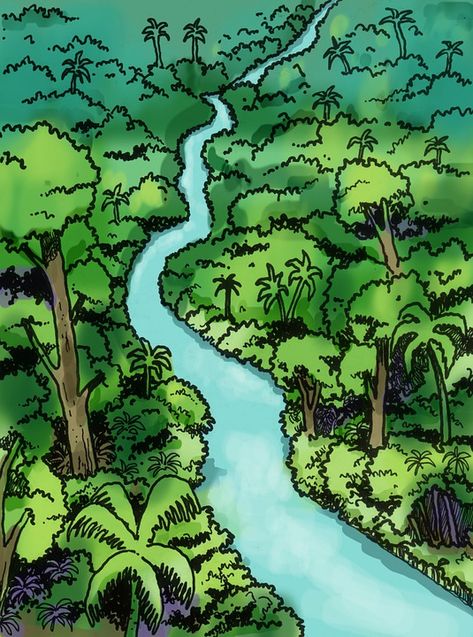 River Rainforest Nature - Free image on Pixabay How To Draw A Rainforest, Amazon Rainforest Illustration, Rainforest Sketch, Tropical Rainforest Drawing, Rain Forest Drawing, Rainforest Drawing, Rainforest Map, Rainforest Illustration, Rainforest Pictures