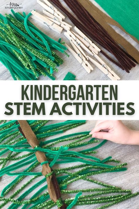 Simple Stem Activities For Kindergarten, Forest Stem Activities, Stem Games For Kindergarten, Nature Stem Activities For Kids, Stem Challenge Preschool, Kindergarten Co Op Ideas, Winter Stem Kindergarten, Stem Bin Ideas, Stem Ideas For Kindergarten