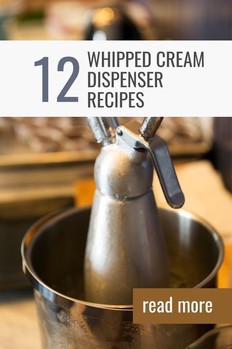 Whipped Cream Canister Recipes, Whipped Cream Recipe For Dispenser, Whip Cream Dispenser Recipes, Homemade Whipped Cream With Heavy Cream, Whipped Cream Dispenser Recipes, Isi Whipper Recipes, Whipped Recipes, Whip Cream Recipe, Whipped Cream Dispenser Recipe