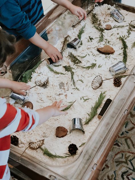 Reggio Emilia Sensory Activities, Reggio Holiday Activities, Reggio Emilia Winter Activities, Winter Curiosity Approach, Reggio Sensory Activities, Winter Provocations Reggio, Reggio Emilia Activities, Winter Sensory Activities, Reggio Children