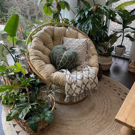 Succulent Pillows & Plant Inspired Home Decor | Green Philosophy Co– Green Philosophy Co. Papasan Chair Living Room, Anthurium Clarinervium, Succulent Pillow, Magic Home, Cute Bedroom Decor, Papasan Chair, Redecorate Bedroom, Cozy Room Decor, Room Makeover Bedroom