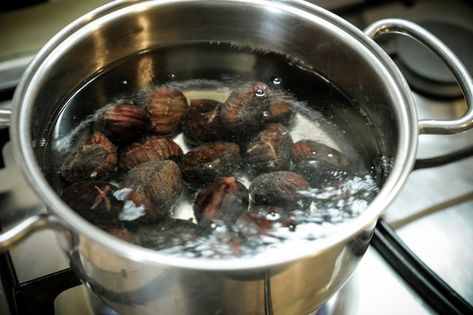 BOILED CHESTNUTS Cooking Chestnuts, Chestnut Recipes, Boiled Food, Roasted Chestnuts, Grain Free Recipes, Open Fire, Food Info, Chutney Recipes, Cooking Gadgets