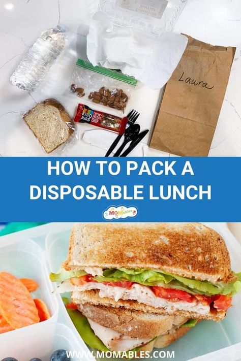 How to pack a completely disposable lunch for a school picnic or field trip. Healthy Field Trip Lunches, Field Trip Lunch Ideas For Parents, Field Trip Sack Lunch Ideas, Sack Lunch For Field Trip, Field Trip Lunch Ideas Kids Disposable, School Field Trip Lunch Ideas, Brown Bag Lunch Ideas Field Trip, Sack Lunch Ideas For Kids Field Trip, Lunch Ideas For Field Trips