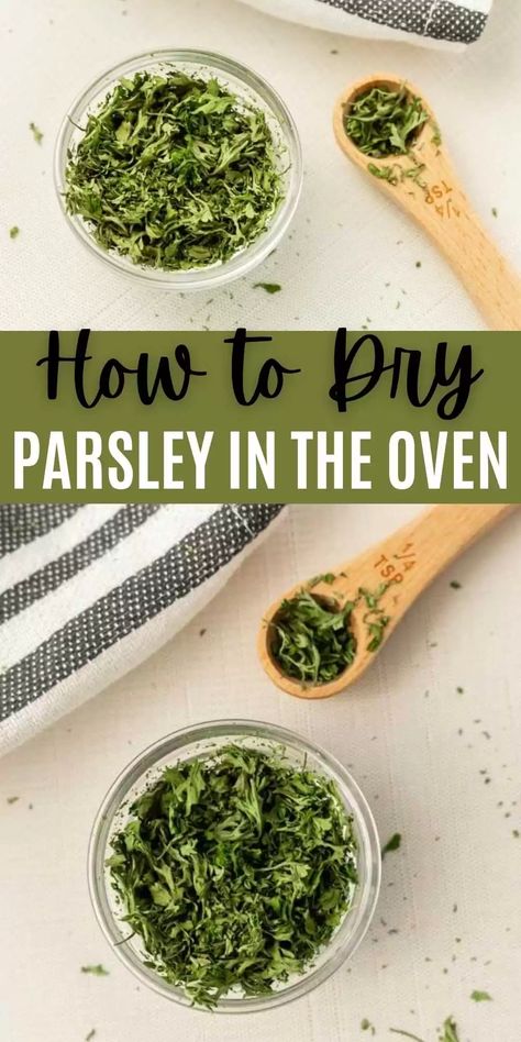 Learn How to Dry Parsley in the Oven with these easy instructions. These steps will teach how to never let fresh parsley go to waste. You’ll be surprised by how easy it is to dry parsley leaves at home. #eatingonadime #parsley #howto Drying Parsley In Oven, How To Dry Parsley In Oven, How To Dry Parsley Leaves, Fresh Parsley Recipes, Drying Fresh Herbs, Parsley Recipes, Parsley Leaves, Eating On A Dime, Preserving Herbs