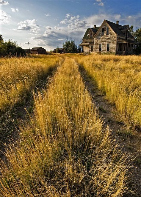 Old Outhouse, Abandoned Farmhouse, Abandoned Farm, American Gothic, House Landscape, Old Farmhouse, Farm Yard, Abandoned Houses, Abandoned Places