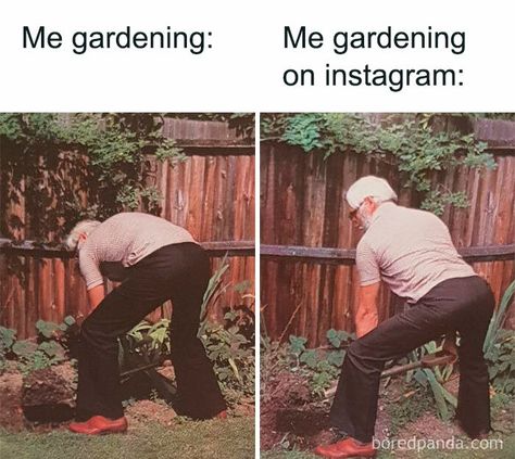 Gardening Memes, Hamilton Jokes, Gardening Humor, Hamilton Funny, Dirty Memes, Workout Memes, Dark Pictures, Gym Memes, Best Gym