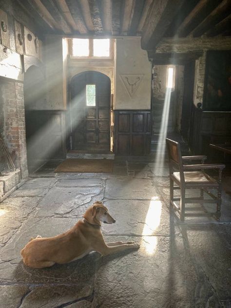 Gwydir Castle, Medieval Interior, Garden Tools Decor, Medieval Cottage, Poster Beds, Writing Painting, Old Manor, History Taking, Suite Bathroom