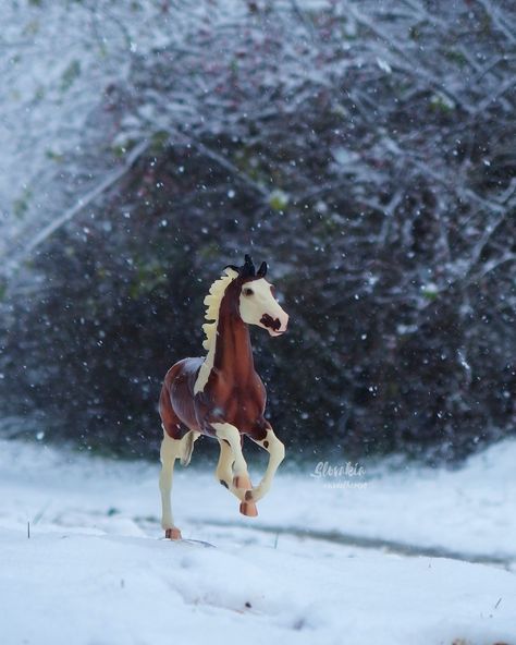 Breyer Horse Photography, Schleich Photography, Horse Figures, Unusual Horse, Bryer Horses, Horse Art Drawing, Hobby Horses, Western Life, Horse Aesthetic