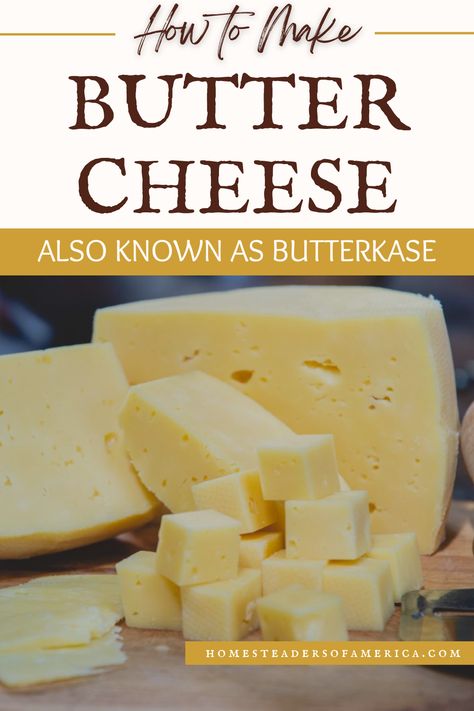 This easy Butter Cheese recipe (aka Butterkase) makes a semi-firm cheese with a smooth paste and delicious mild flavor, perfect for snacking! Farm Cheese Recipes, Easy Cheese Recipes Homemade, Cheese Recipes Easy, Make Mozzarella Cheese, Cheese Recipes Homemade, Cheese Making Recipes, Recipes Cheese, Making Cheese, Diy Cheese