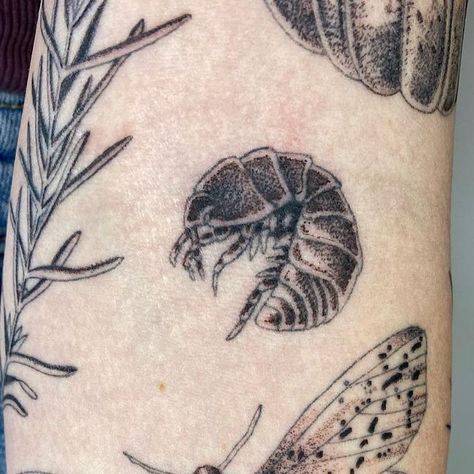 Ula on Instagram: "Closeups of the recent patchwork sleeve I finished for Pam. Inspired by her memories of growing up in Oregon ✨ Lines healed shading fresh. My books are opening on 1st of July. More details how to book soon.💫 @lunaandsoltattoo #sleeve #sleevetattoo #patchworktattoo #tattoos #closeup #tattoos #uktattoo" Earthy Sticker Sleeve, Tree Mushroom Tattoo, Nature Tattoo Filler, Forestcore Tattoo, Sundew Tattoo, Botanical Patchwork Sleeve Tattoo, Woodlouse Tattoo, Earth Worm Tattoo, Nature Filler Tattoo Ideas