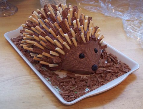 Porcupine Cake, Hedgehog Cookies, Hedgehog Cake, 8th Birthday Cake, A Hedgehog, Baking Business, Breakfast Dessert, Fancy Cakes, Birthday Cake Kids