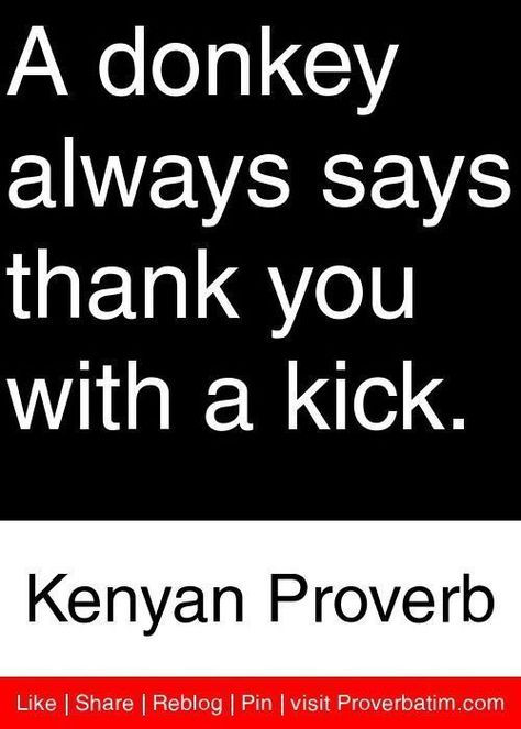 A donkey always says thank you with a kick . - Kenyan proverb #gratitude #kenyan #proverbs #ingratitude #african #saying Funny African Proverbs, African Sayings, Wisdom Quotes Truths, African Quotes, African Proverb, Inspirational Words Of Wisdom, A Donkey, Inspirational Quotes About Success, Proverbs Quotes