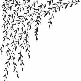 Black & White Weeping Willow Tree Branches Leaves Throw Pillow Willow Tree Branch Drawing, Willow Leaves Drawing, Willow Tree Leaves Tattoo, Weeping Willow Tree Drawing, Willow Tree Branch Tattoo, Weeping Willow Tree Tattoo, Willow Drawing, Willow Tree Drawing, Willow Tree Design